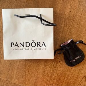 Pandora Shopping and Jewelry Bag